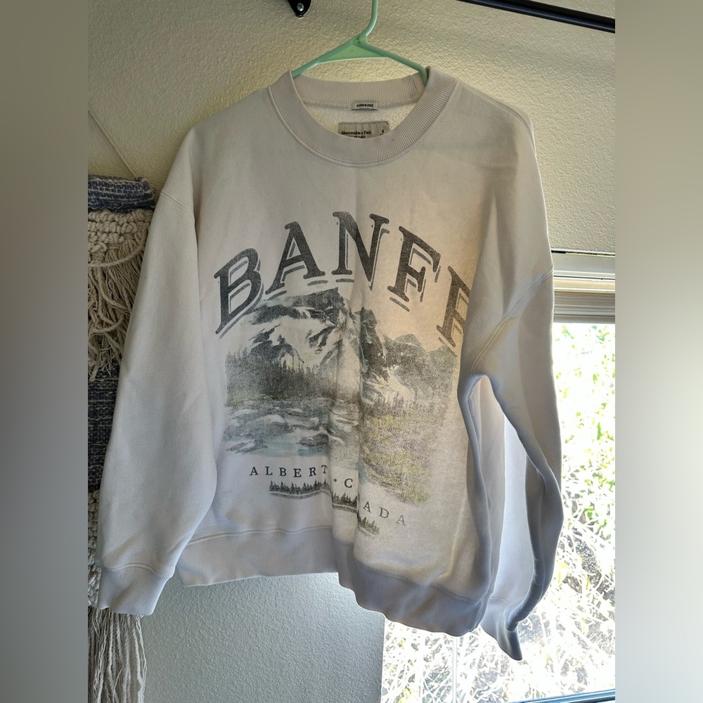 Abercrombie & Fitch Banff Graphic Crewneck Sweater - Light Gray